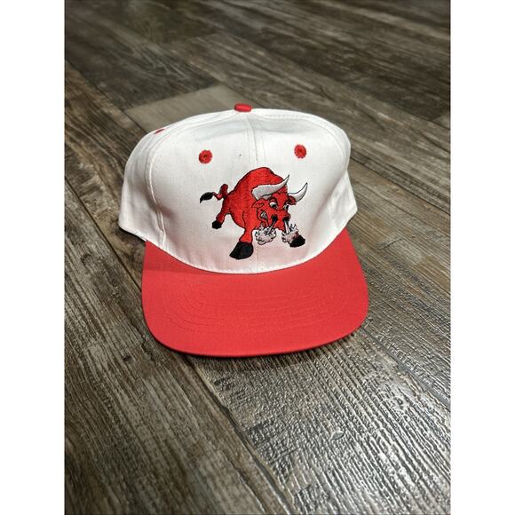 RARE Vintage Tuscon Toros Minor League Baseball Snapback Hat Made in USA MINT - Picture 1 of 4